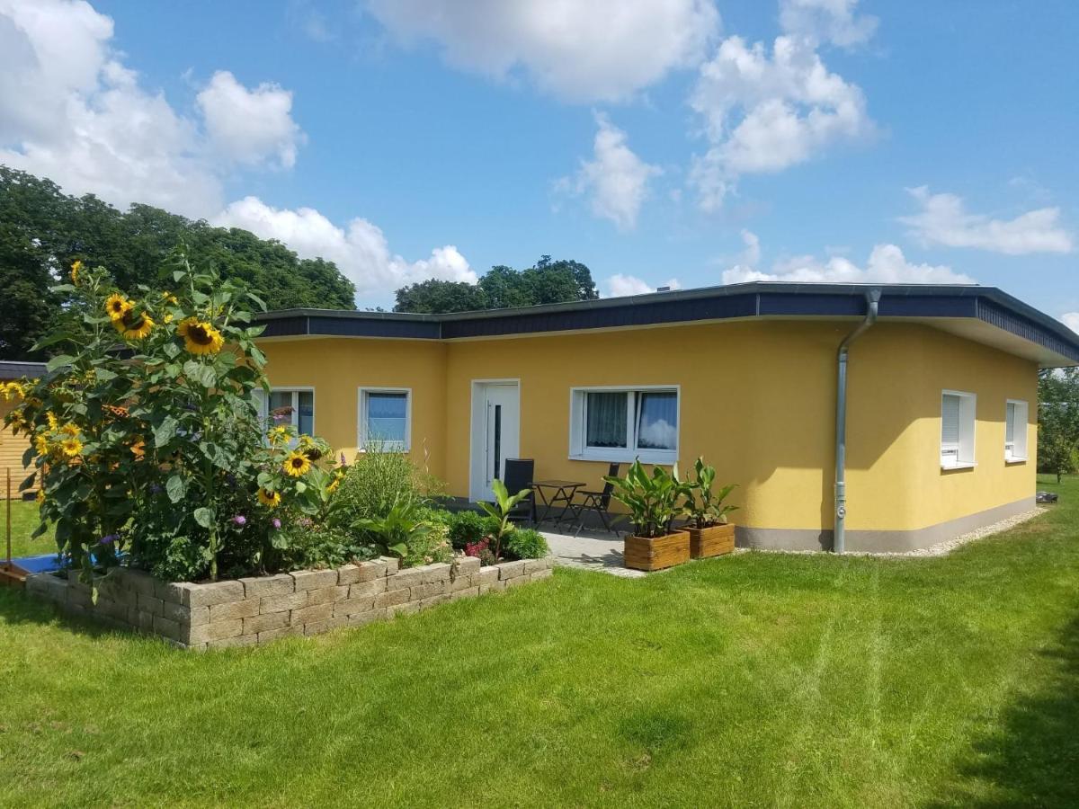 ולטן Ferienhaus Zum Imker מראה חיצוני תמונה