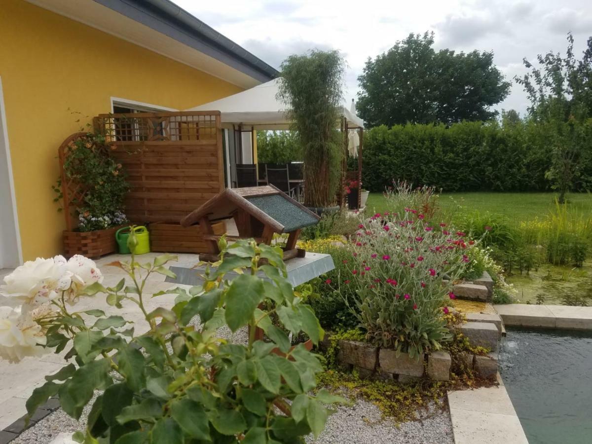ולטן Ferienhaus Zum Imker מראה חיצוני תמונה
