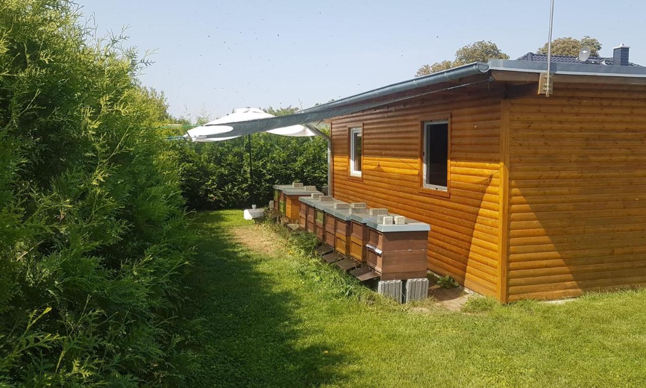 ולטן Ferienhaus Zum Imker מראה חיצוני תמונה