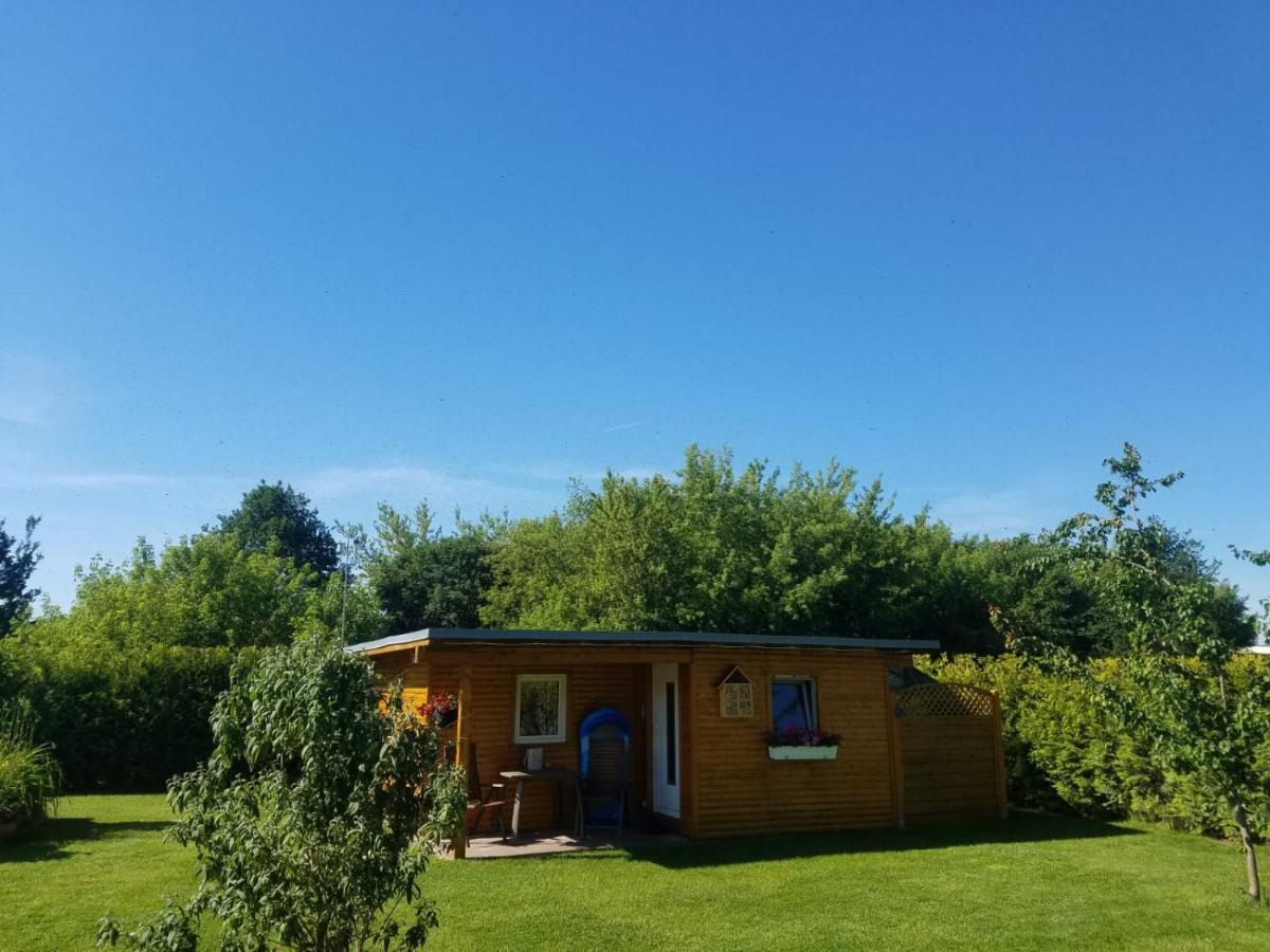 ולטן Ferienhaus Zum Imker מראה חיצוני תמונה
